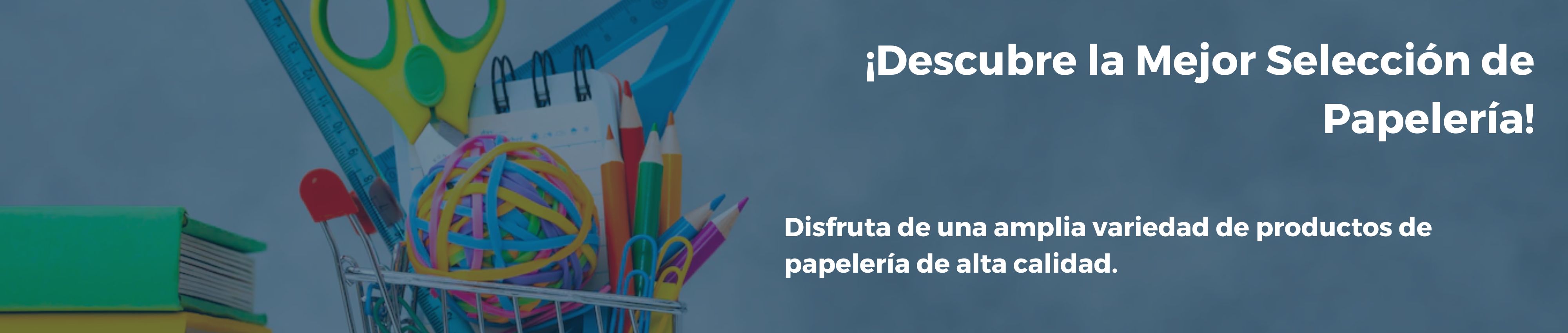 PAPELERIA Y ART. DE OFICINA